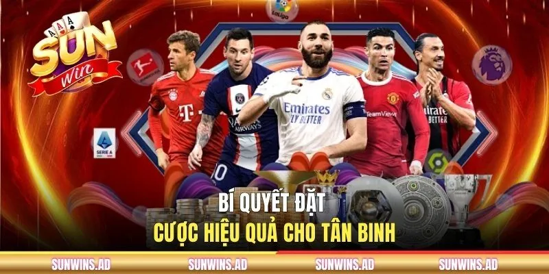 Bí quyết đặt cược hiệu quả cho newbie