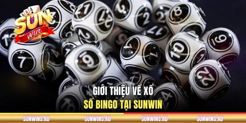 Giới thiệu về xổ số Bingo tại SUNWIN