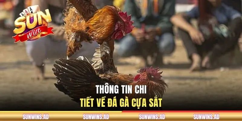Thông tin chi tiết về đá gà cựa sắt