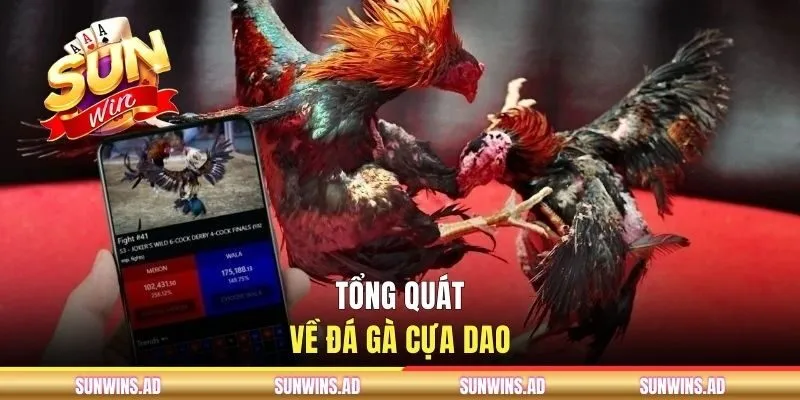 Tổng quát về đá gà cựa dao