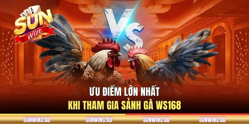 Ưu điểm lớn nhất khi tham gia sảnh gà WS168
